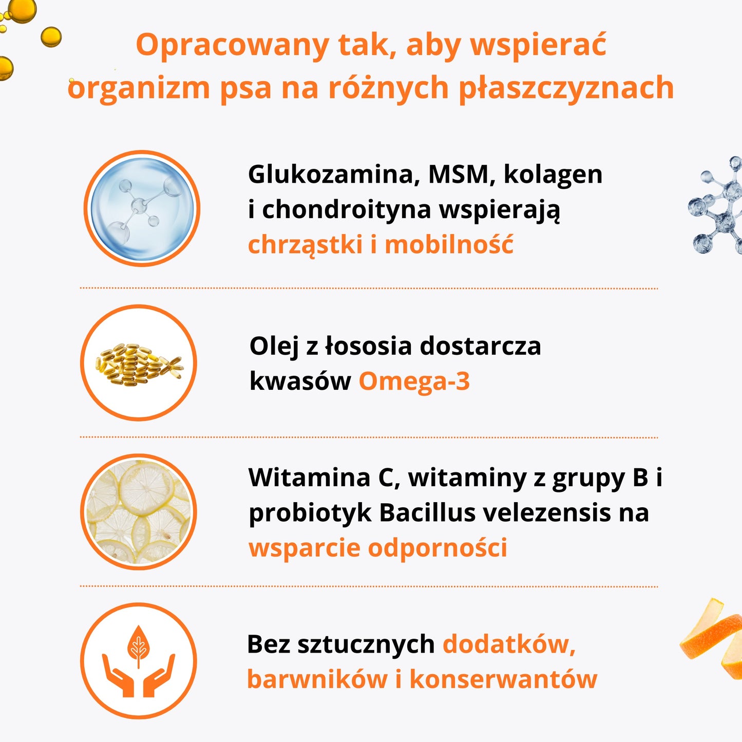 PetVital Smaczki 8 in 1 dla Psa | Kompleksowe Wsparcie Zdrowia i Odporności