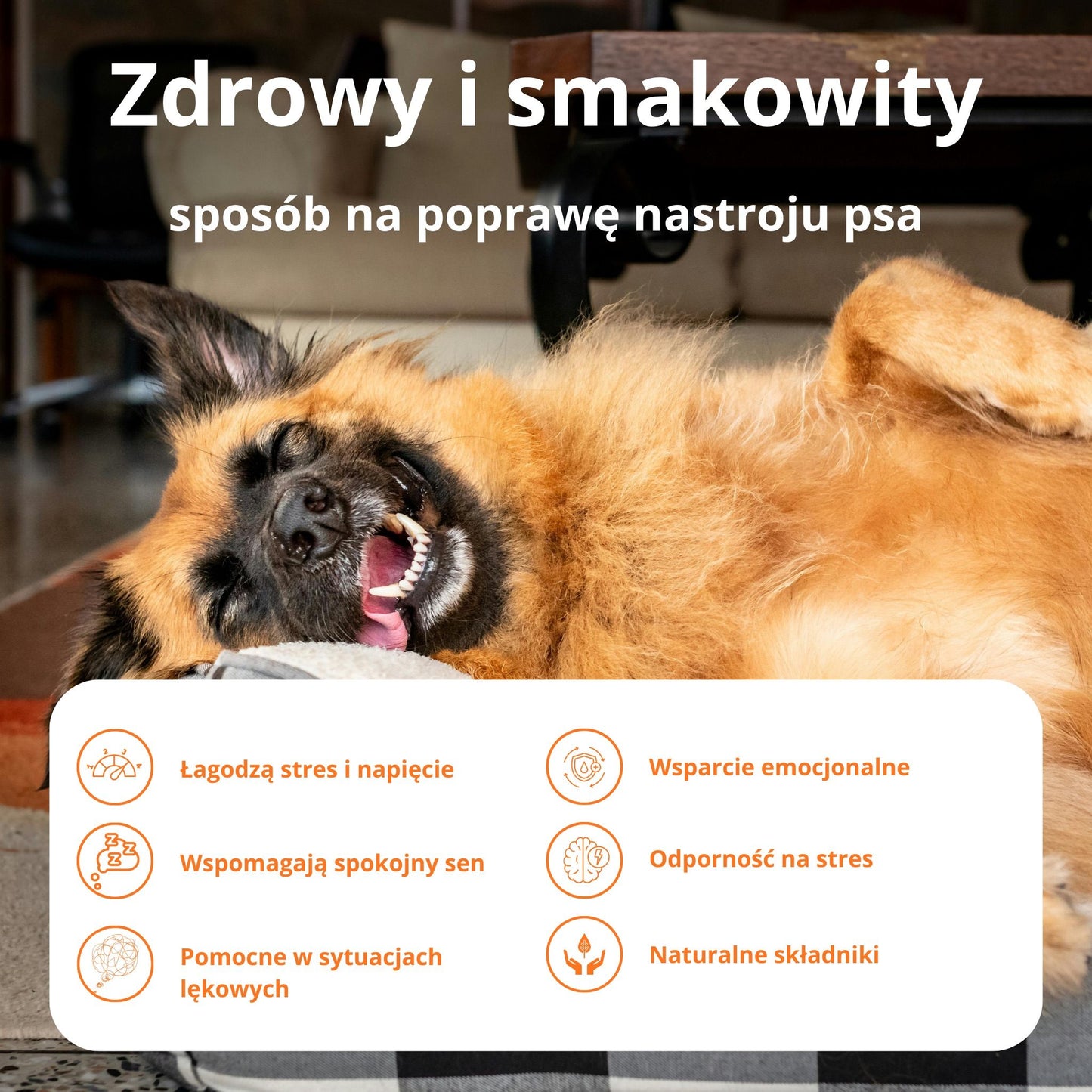 PetVital Smaczki Calm & Relax dla Psa | Naturalne Uspokojenie i Redukcja Stresu