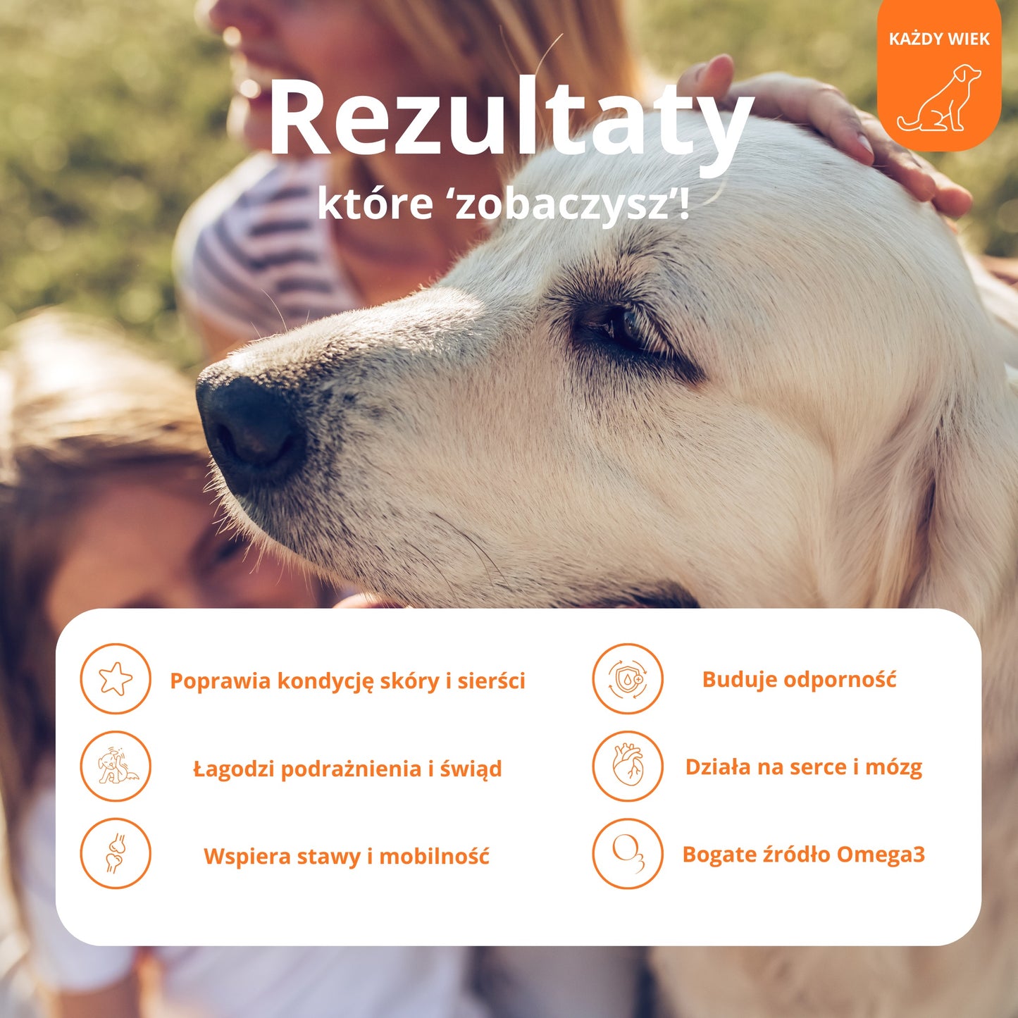 PetVital Olej z Łososia dla Psa i Kota | Lśniąca Sierść i Mocna Odporność