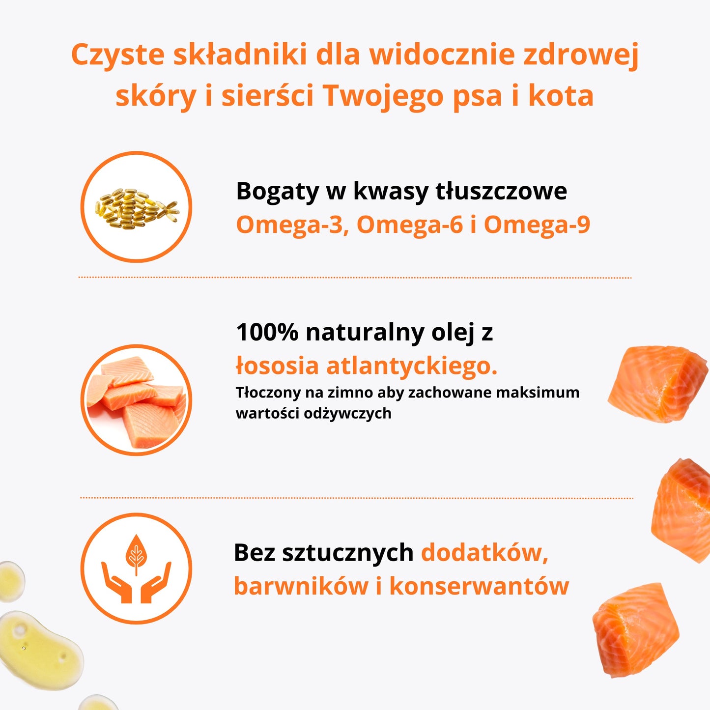 PetVital Olej z Łososia dla Psa i Kota | Lśniąca Sierść i Mocna Odporność