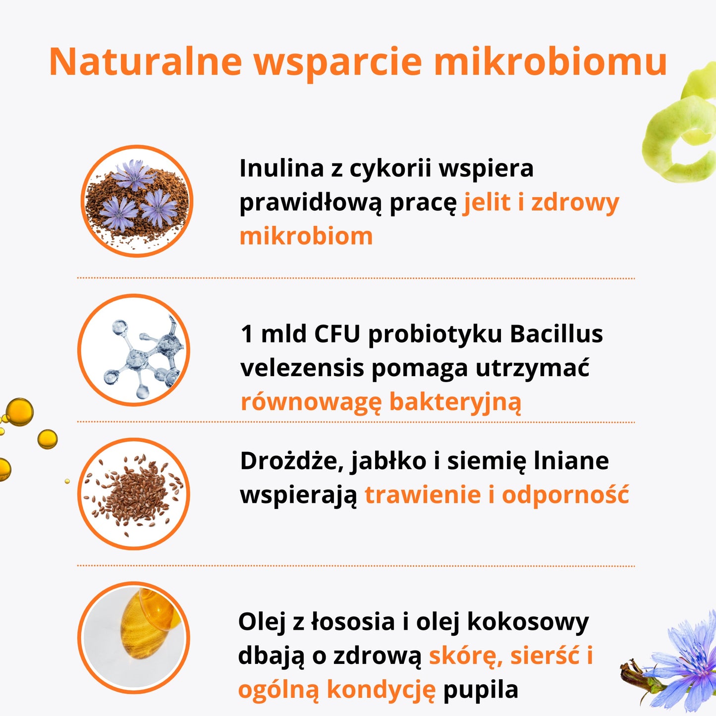 PetVital Smaczki Probiotic dla Psa | Zdrowe Jelita i Silna Odporność