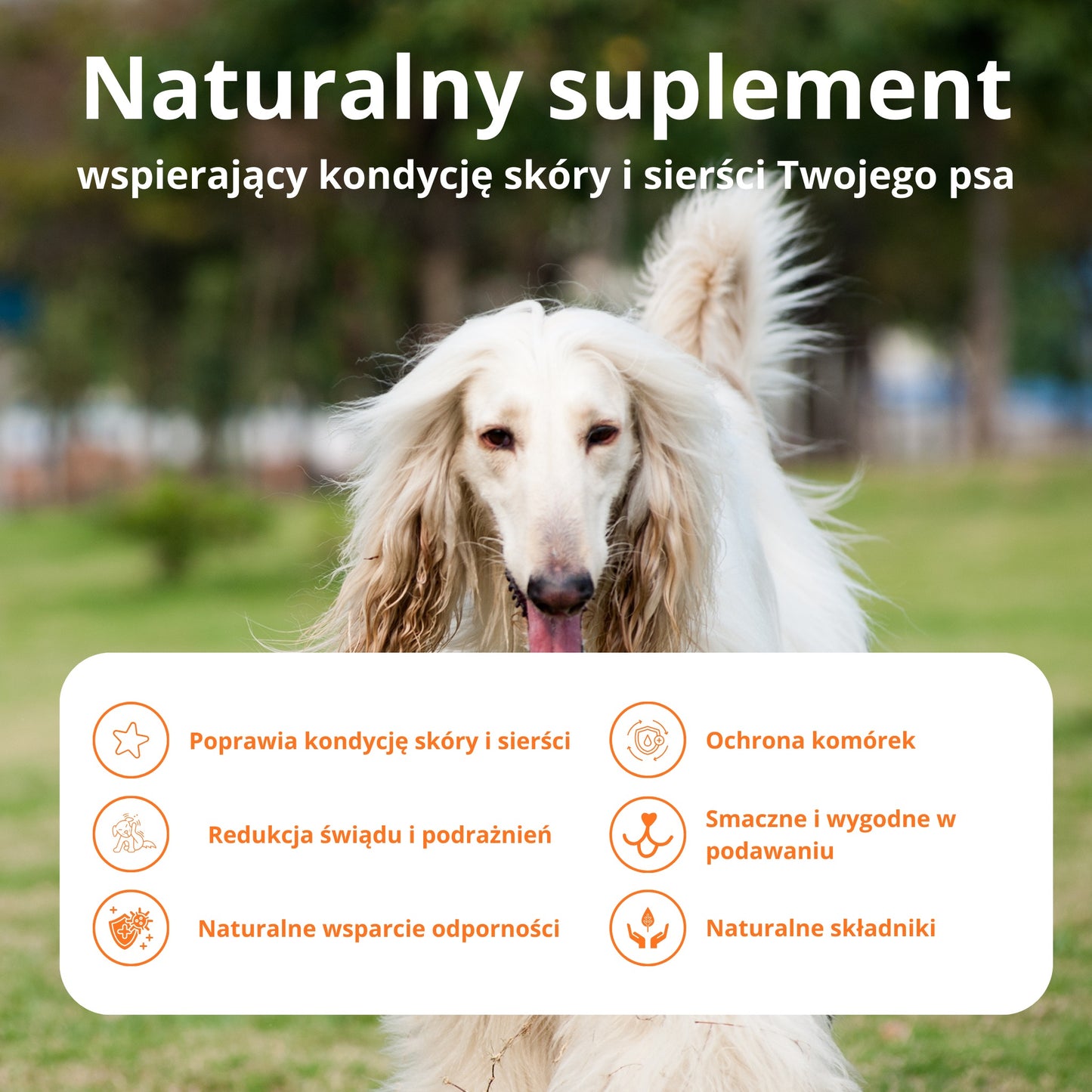 PetVital Smaczki Skin & Coat dla Psa | Zdrowa Skóra i Lśniąca Sierść