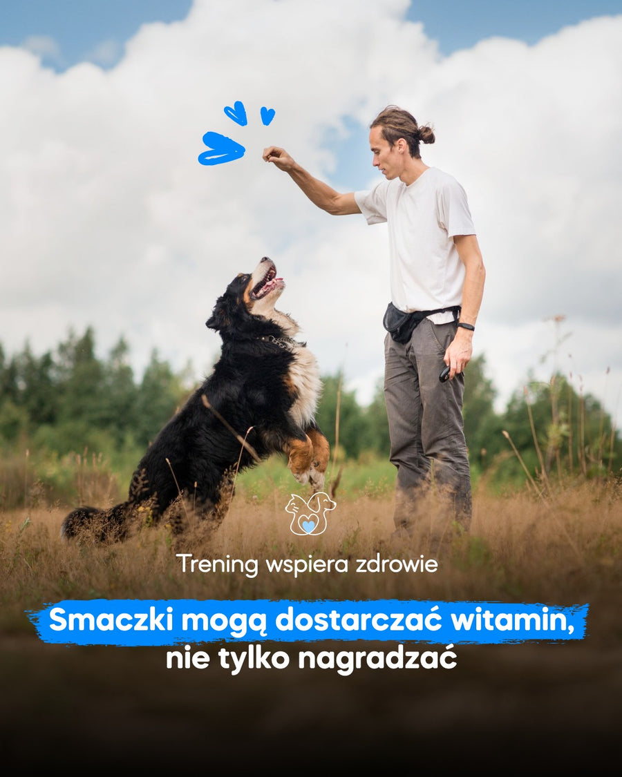 Każdy trening udany